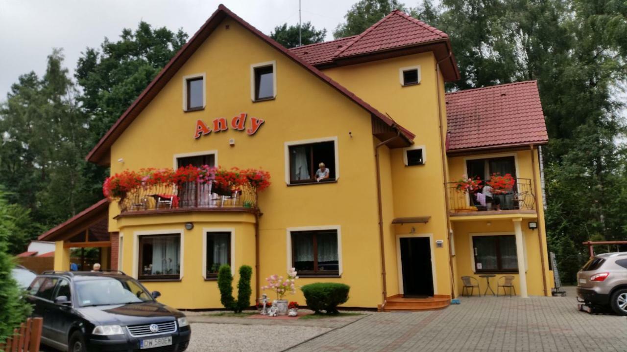 Homestay Andy