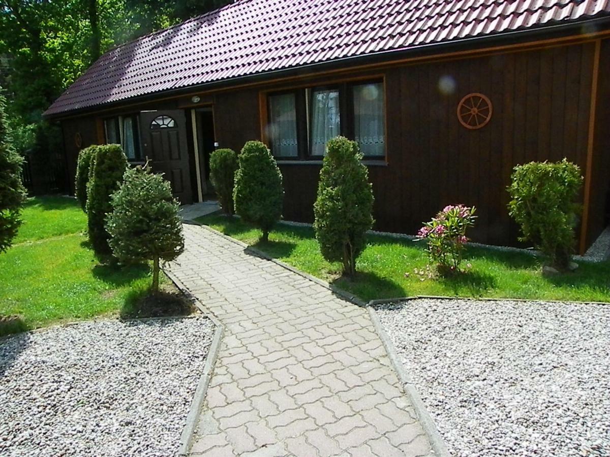 Homestay Andy *